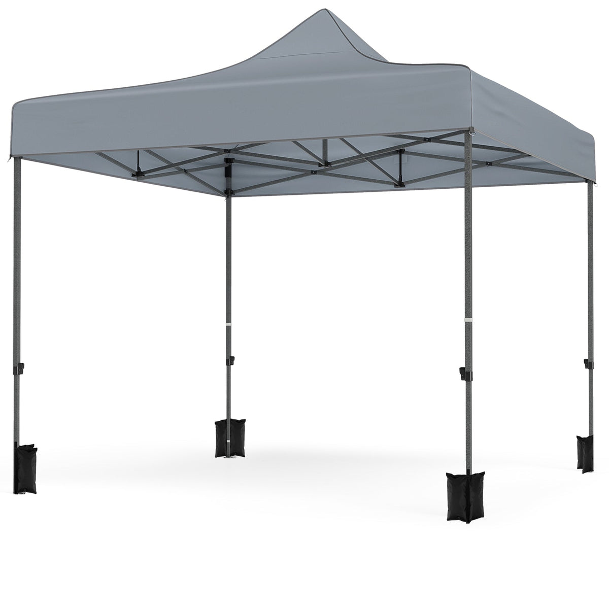 10 x 10 FT Pop up Canopy Tent with 4 Removable Sidewalls and Wheeled Bag