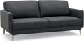 Modern Loveseat with Comfy Backrest Cushions