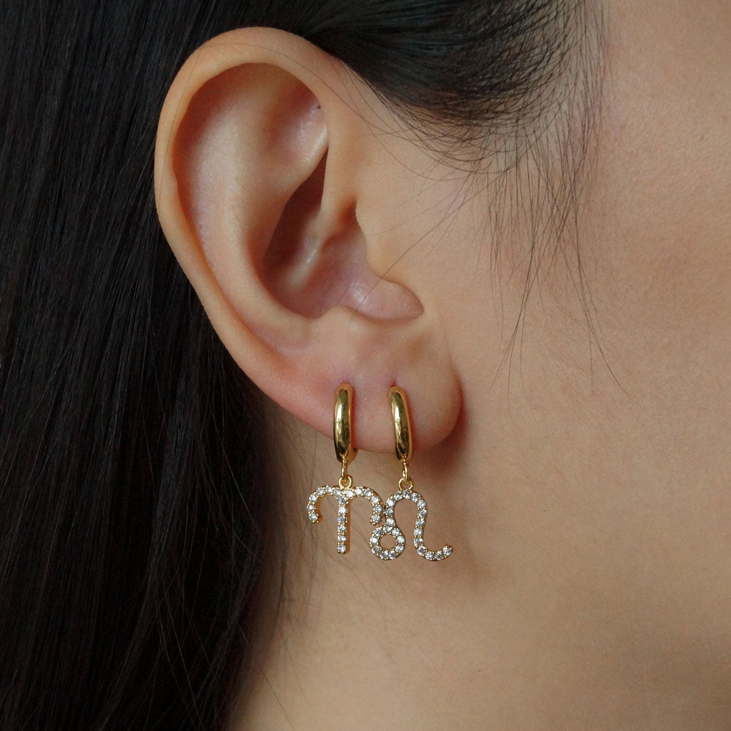 Zodiac Micro Paved Zircon Earrings