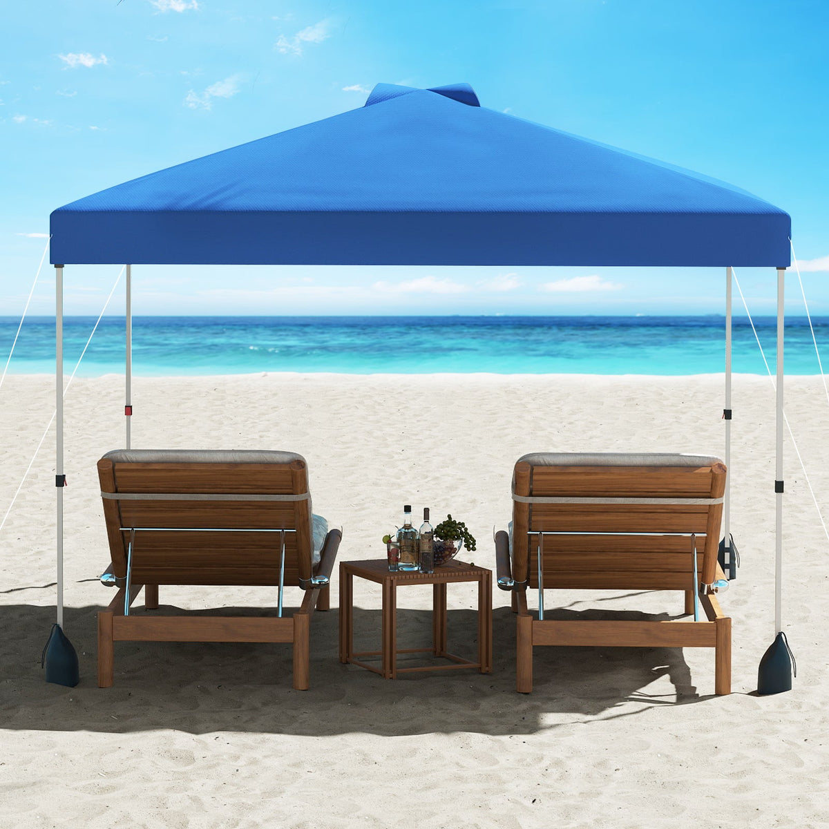 10 X 10 FT Pop up Canopy Tent with 1 Sidewall and Wheeled Bag